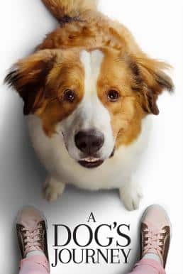 A Dog's Journey (2019) หมา เป้าหมาย และเด็กชายของผม 2