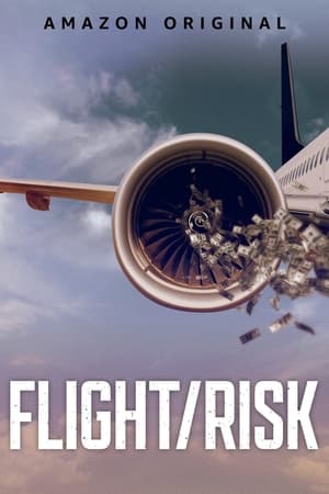 Flight/Risk (2022) เที่ยวบินมหาภัย