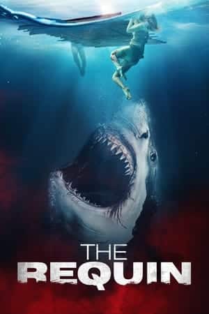 The Requin (2022) เดอะ เรควินน์