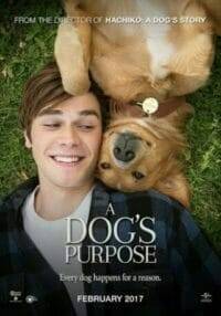 A Dog's Purpose (2017) หมา เป้าหมาย และเด็กชายของผม