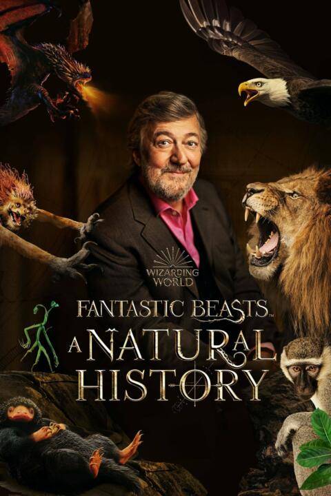 Fantastic Beasts: A Natural History (2022)